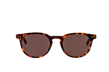 Clarke Sunglasses Readers (Brown)